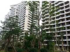 規(guī)模大的綠地海長(zhǎng)流公司---美蘭省計(jì)服務(wù)部--海口市房產(chǎn)市場(chǎng)-海口美蘭省計(jì)服務(wù)部提供規(guī)模大的綠地海長(zhǎng)流公司---美蘭省計(jì)服務(wù)部--海口市房產(chǎn)市場(chǎng)的相關(guān)介紹、產(chǎn)品、服務(wù)、圖片、價(jià)格東匯森語(yǔ)林【老城】、海南房產(chǎn)、海南房地產(chǎn)、海南地產(chǎn)、海南房產(chǎn)網(wǎng)、海南養(yǎng)老房產(chǎn)、