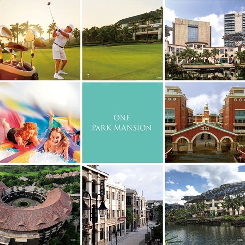 壹見如故,驚艷盛啟