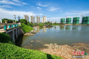 海南百畝紅樹林遭破壞 淪為高檔小區垃圾場 高清組圖