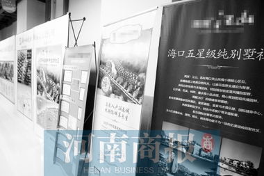 鄭州 候鳥老人 為躲寒冷和霧霾組團(tuán)去海南過冬