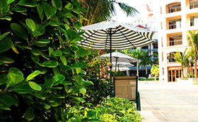 新華網攜手21世紀海南房產 半價游海南 看房活動