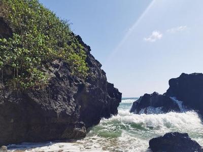 海南一年四季氣候情況(海南哪里氣候適合長久)