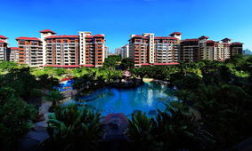 養生宜居樓市精品 紫園巡展北京鄭州獲熱捧